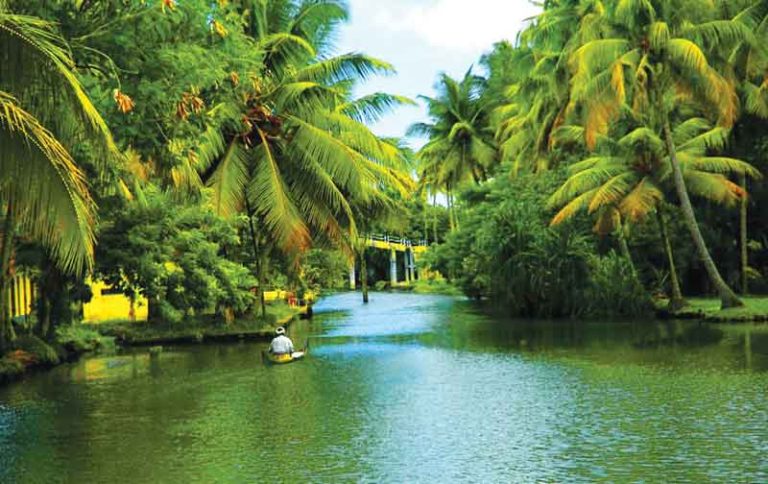 Kerala Wildlife Safari & Backwaters Tour (6 Nights/7 Days)