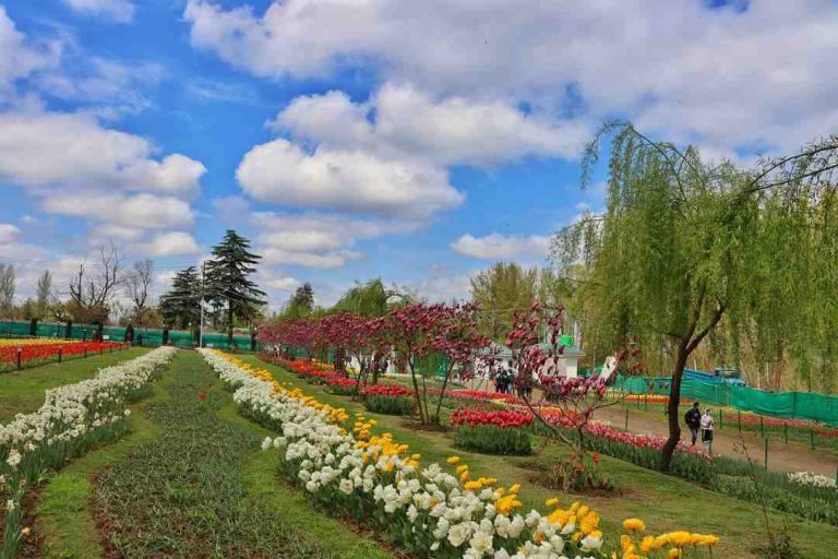 Kashmir Luxury Tour Package (5 Nights/6 Days)