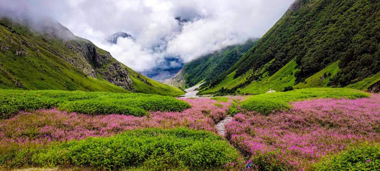 Valley of Flowers Trek (7 Nights/8 Days)